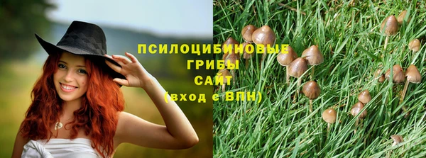 spice Алексин