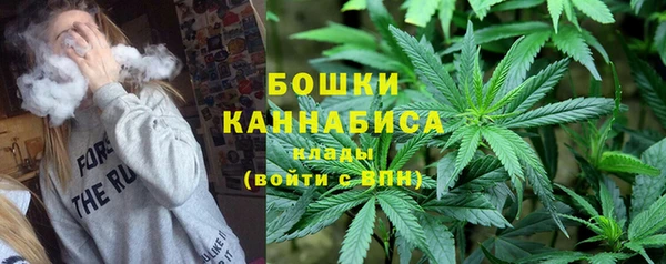 PSILOCYBIN Протвино