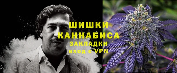 шишки Приозерск