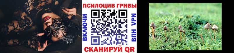 Псилоцибиновые грибы прущие грибы  kraken как зайти  Хотьково 