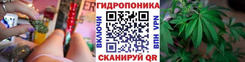цены наркотик  Хотьково  Шишки марихуана OG Kush 